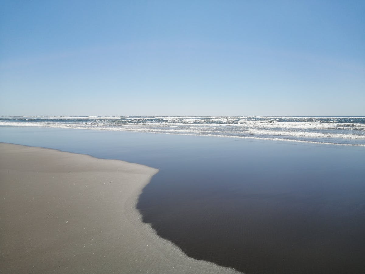 Postal brownies large box